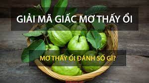 Nằm mơ thấy quả ổi đánh con gì